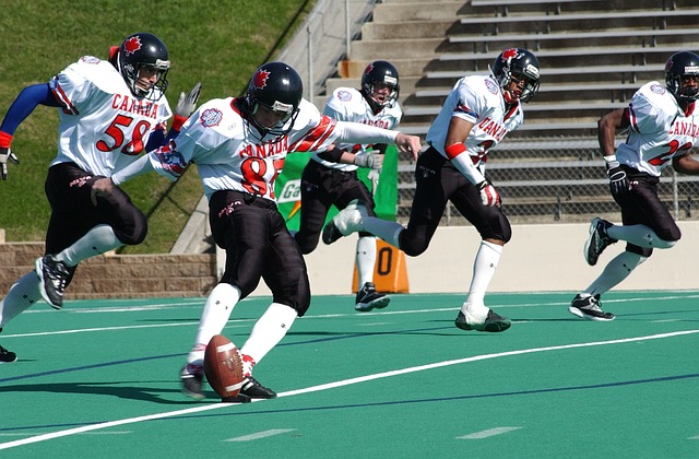 也迅速引起 也迅速引起