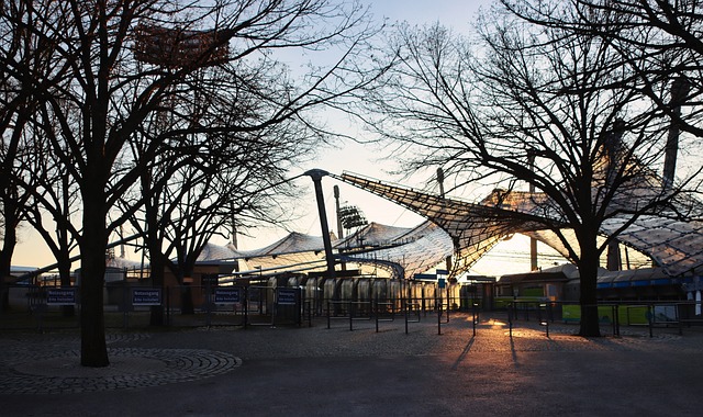 还是新秀 还是新秀