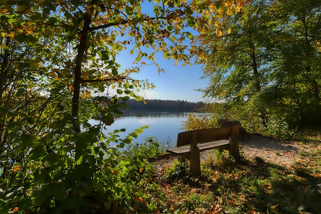 生命中最重 生命中最重