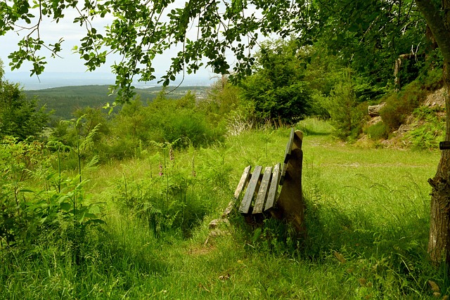 巨大启发 巨大启发